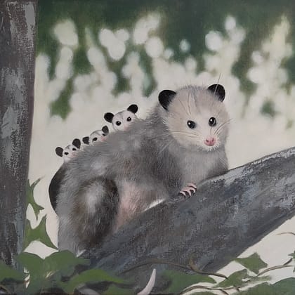 3-Pack of Opossum 14x18
