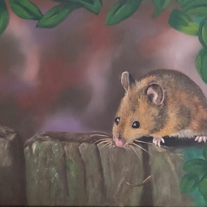 Eastern Harvest Mouse 9x12